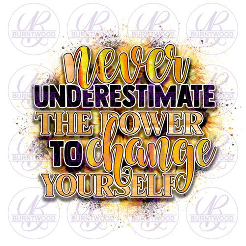 Never Underestimate The Power  To Change Yourself 0768