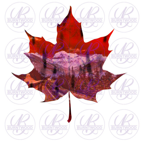 Distressed Maple Leaf 1043