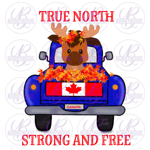 True North Strong And Free 0995
