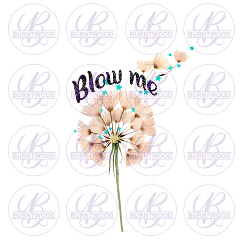 Blow Me 0990