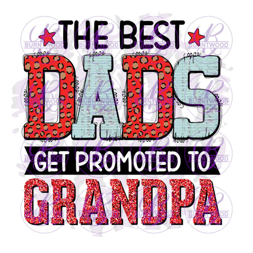 The Best Dads Get Promoted To Grandpa 2069