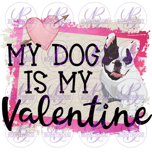 My Dog Is My Valentine 2589