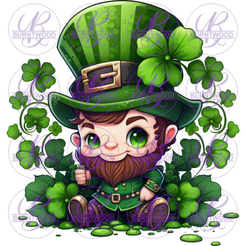 Leprechaun 2764