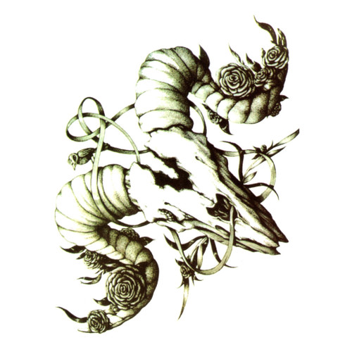 Temporary Tattoo, HB-054, Skull 054, 6" x 8.25"