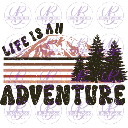 Life Is An Adventure 3752