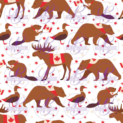 Canadian Animals 6475