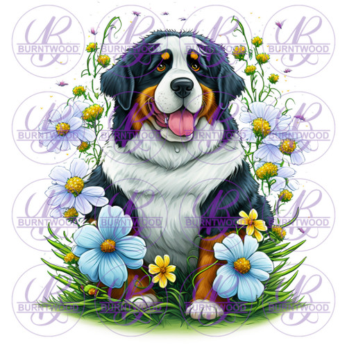 Bernese Mountain Dog Floral 2732