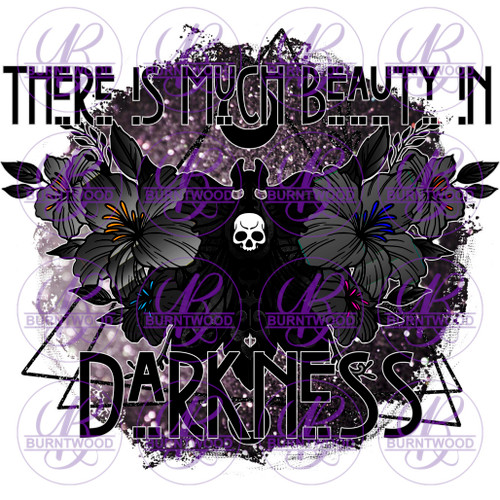 There is Much Beauty In Darkness  3949