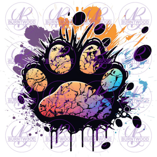 Rainbow Paw 4046