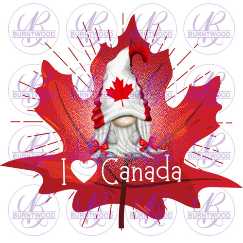 I Love Canada 4063
