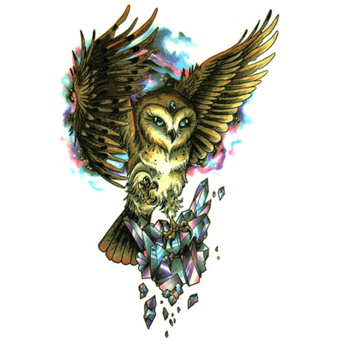 Owl 429, 6