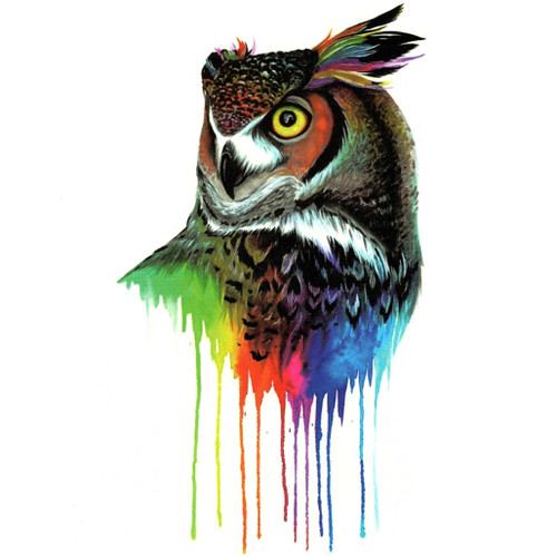 Owl 318, 6" x 8.25"