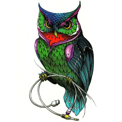 Owl 314, 6" x 8.25"