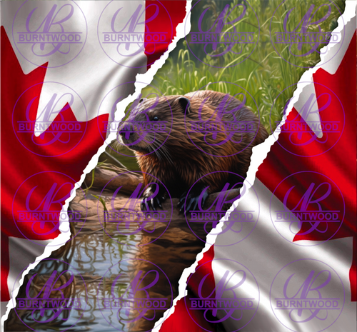 Beaver Flag 7280