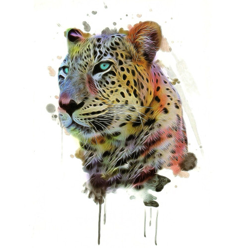 Leopard 101, 6" x 8.25"