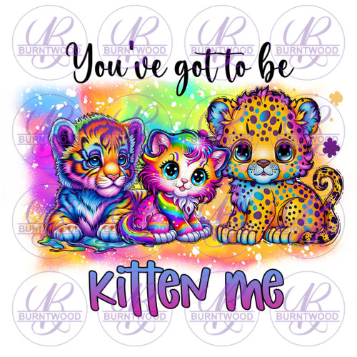 You've Got To Be Kitten Me 4077