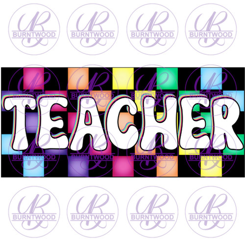 Pastel Check Teacher 4298