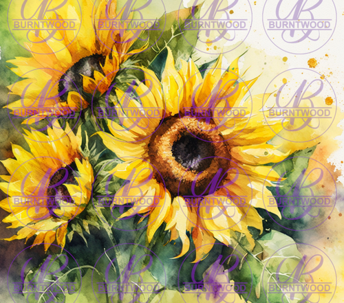 Sunflowers 6581