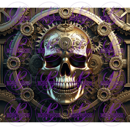 Steampunk Skull 8610