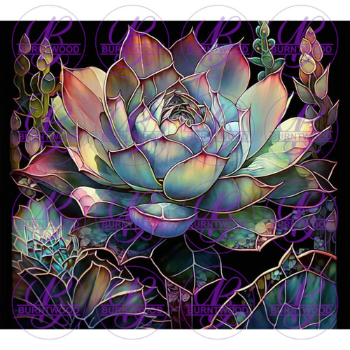 Stained Glass Succulents 8588