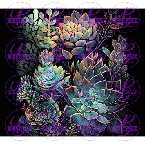 Stained Glass Succulents 8587
