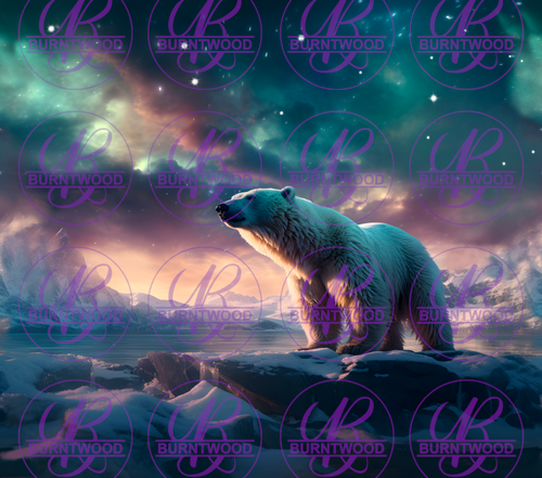 Northern Lights Bear 8727