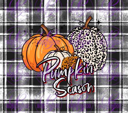 Pumpkin Season 8879