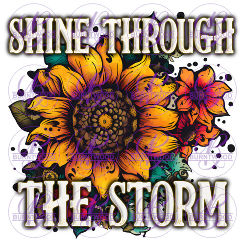Shine Through The Storm 5151