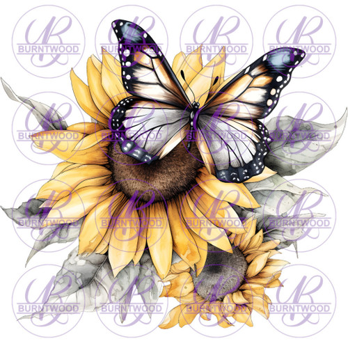 Sunflower Butterfly 4244
