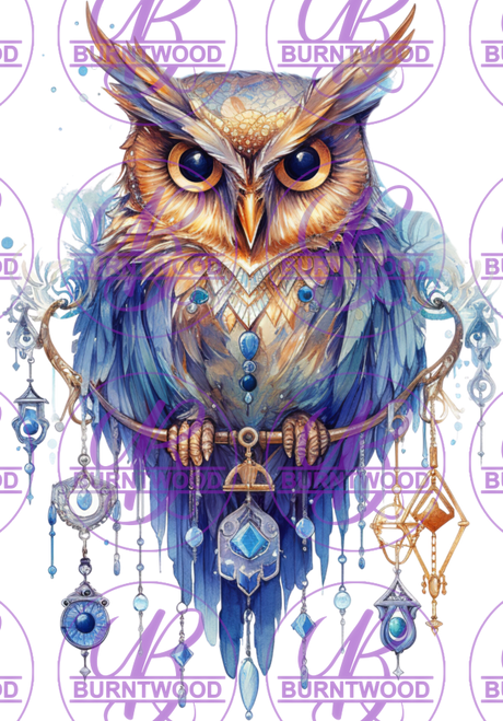 Owl 5336