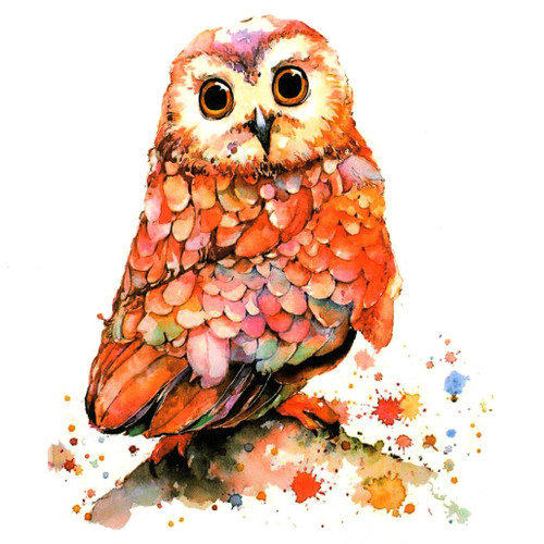 Owl 171, 6" x 8.25"