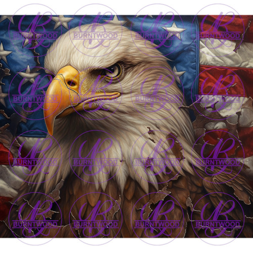 Patriotic Eagle 8337