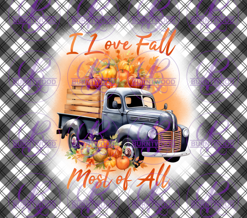 I Love Fall 9677