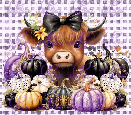 Baby Highland Cow Pumpkins 9704