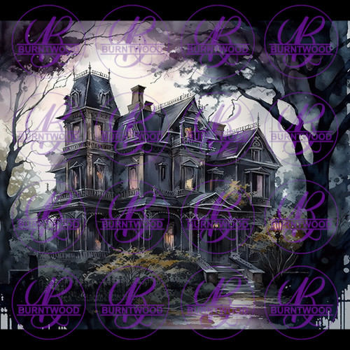 Haunted House 5921