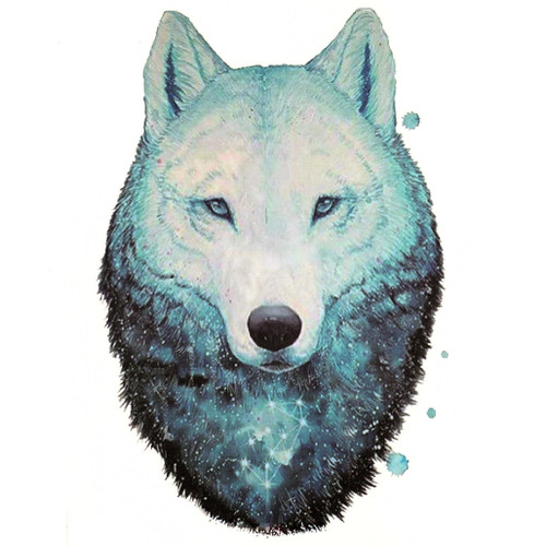 Wolf 140, 6" x 8.25"