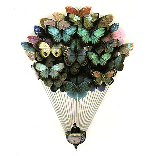 Butterfly Hot Air Balloon 138, 6" x 8.25"