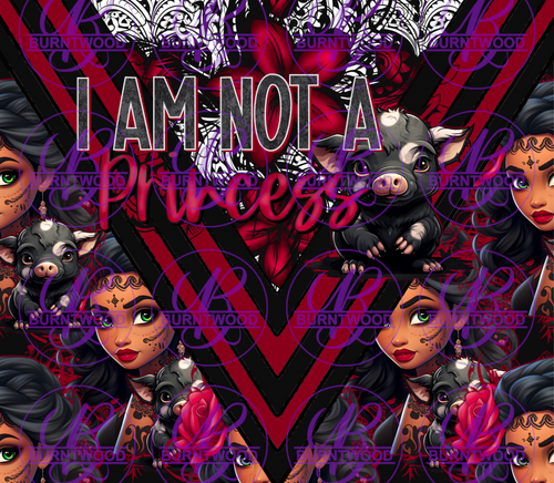 I Am Not A Princess 9594