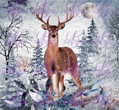 Winter Deer 6025