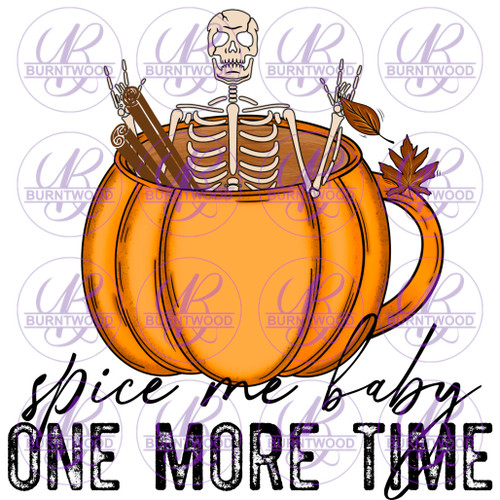 Spice Me Baby One More Time 2302