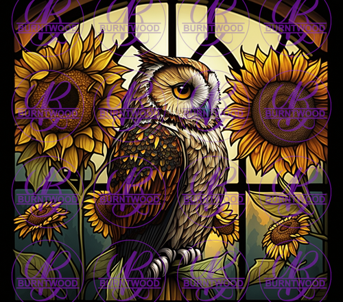 Stained Glass Owl 7517