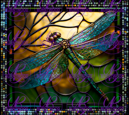 Dragonfly 5566