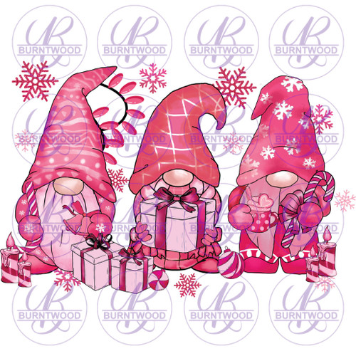 Pink Gnomes 6042