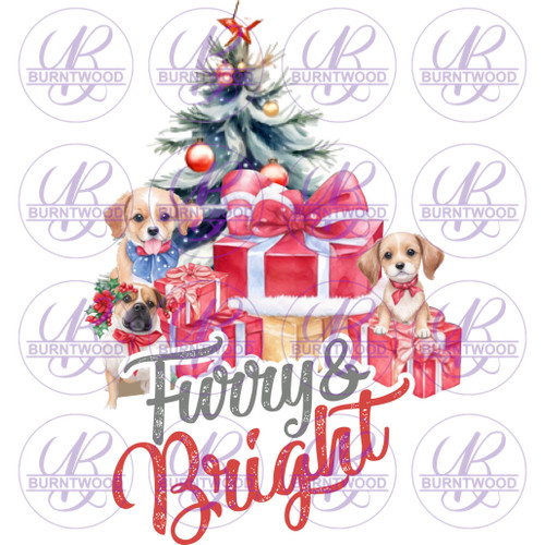 Furry & Bright 6041