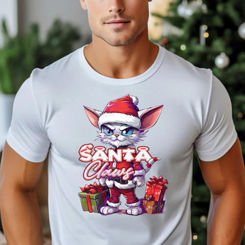 DTF - Santa Claws 0560