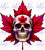 DTF -  Maple Leaf Skull 0737