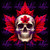 Canadian Skull 6507