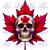 Canadian Skull 6507