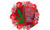 UV DTF Decal - In A World Full Of Roses Be A Weed 1537