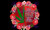 UV DTF Decal - In A World Full Of Roses Be A Weed 1537